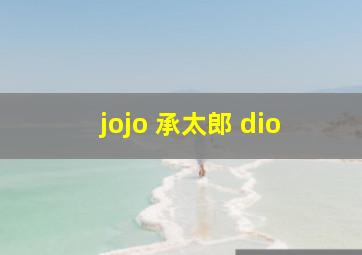 jojo 承太郎 dio